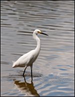 DSC_7042.jpg