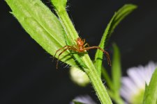 DSC_8017_edited.jpg