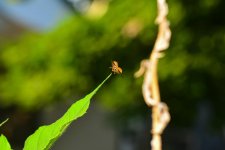DSC_8098_edited.jpg