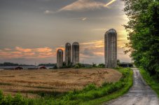 Farms-.jpg