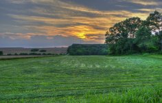 Farms-1-2.jpg