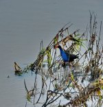 DSC_3198.jpg