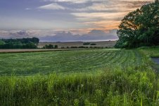 Farms (1 of 1).jpg
