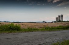 Farms (1 of 1)-2.jpg