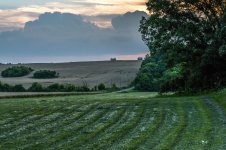Farms (1 of 1)-4.jpg
