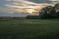Farms (1 of 1)-5.jpg