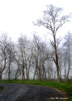 Mist rising LOL.jpg