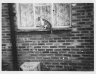 009.jpg