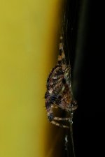 DSC_6870_edited-1.jpg