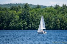 DSC_9645.jpg