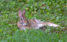 DSC_0114.jpg