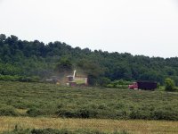 DSCN1792.jpg