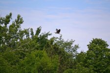 DSC_3463.jpg