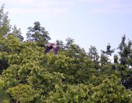 DSC_3465.jpg
