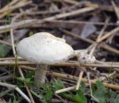 DSC_3449.jpg
