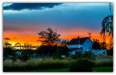 DSC_2921.jpg