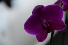 DSC_3206.jpg