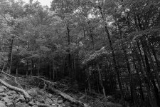 New Hampshire Speaks, #1 - Small.jpg