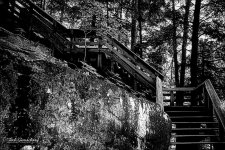 Brandy Wine 20BW.jpg
