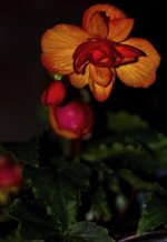 DSC_7547 web.jpg