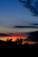 DSC_7561 web.jpg