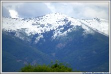 Snow on the Mountain in June.jpg