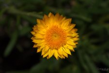 Day169-2.jpg