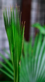 DSC_6776.jpg