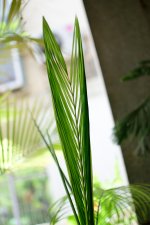 DSC_6932.jpg