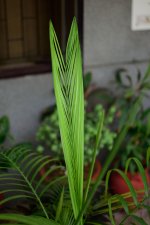 DSC_6937.jpg