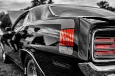 DSC_2662_edited-2.jpg