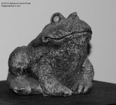 163 Frog-140612_01.jpg