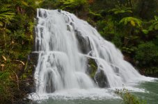 DSC_8559.jpg