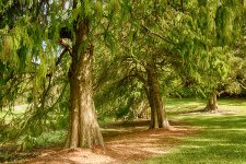 DSC_1472_HDR_webshot.jpg