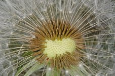 DSC_0678.jpg