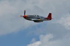 DSC_1308.jpg