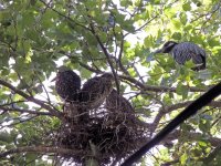 DSCN9570.jpg