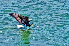 DSC_3108 (2000x1325).jpg