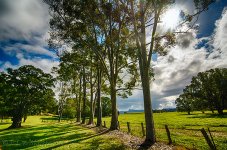 DSC_1466_HDR_webshot.jpg