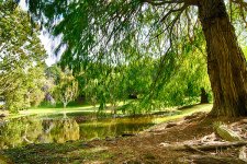 DSC_1503_HDR_webshot.jpg