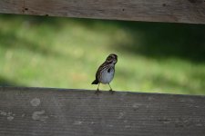 DSC_3670.jpg