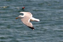 DSC_3514.jpg