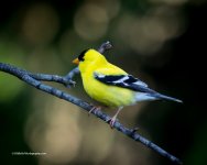 DSC_0470_10897-2.jpg