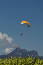 DSC_1543_webshot.jpg