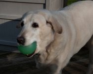 2012-087b.jpg