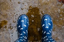 12-rain boots.jpg