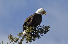 _DSC0051.JPG