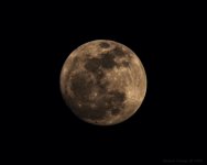 DSC_4172 2.jpg