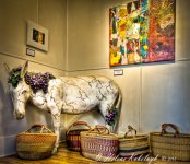 _DSC0191_2_3_4_5_6_7_tonemapped-Edit.jpg