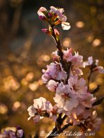_SSC0043-Edit.jpg